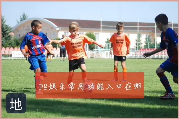 pg娱乐常用功能入口在哪