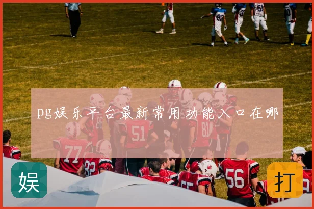 pg娱乐平台最新常用功能入口在哪
